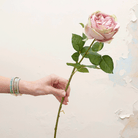 Lilac cabbage rose with leaves Peony