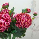 Pink Chrysanthemum Stem with Bud and Foliage Peony