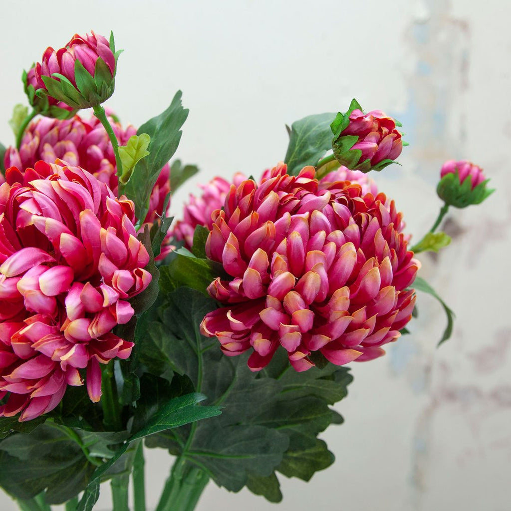 Pink Chrysanthemum Stem with Bud and Foliage Peony