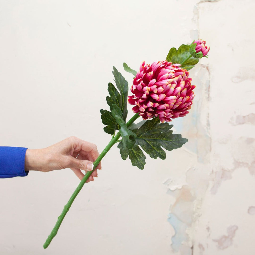 Pink Chrysanthemum Stem with Bud and Foliage Peony