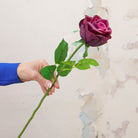 Real Touch Dark Purple Avalanche Rose Stem with Leaves Peony