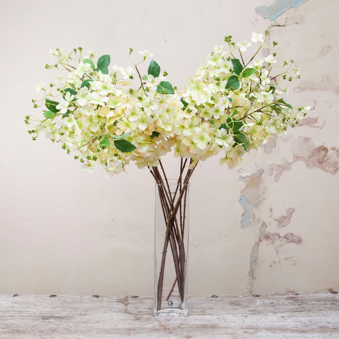 Pale Green Hydrangea Stem with Buds Peony