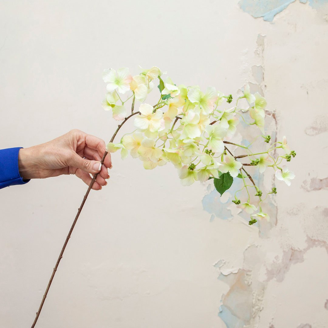 Pale Green Hydrangea Stem with Buds Peony