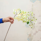 Pale Green Hydrangea Stem with Buds Peony