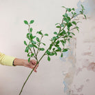 Single artificial privet stem with dense green foliage