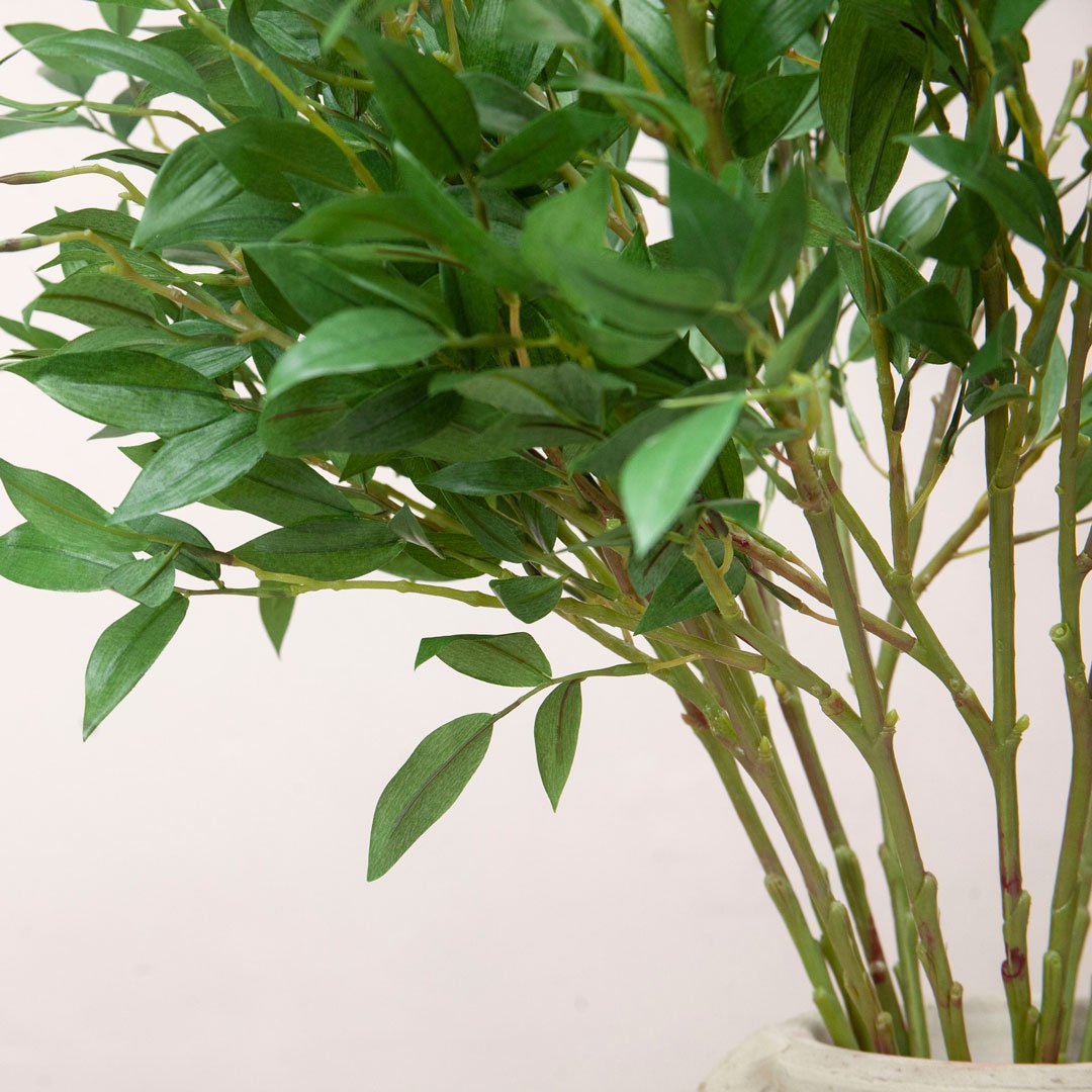 Tall Green Leaf Stem Peony