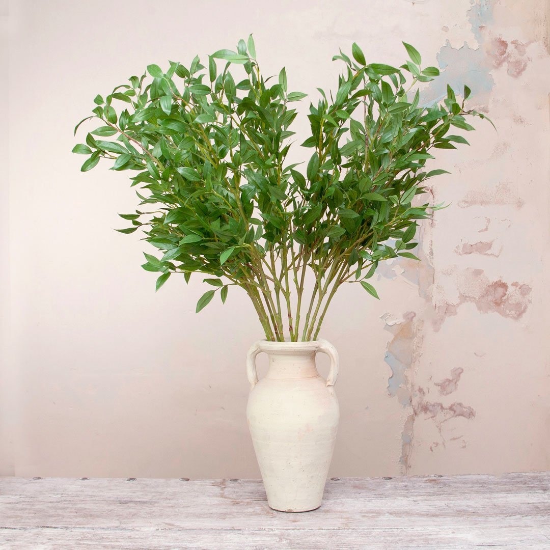 Tall Green Leaf Stem Peony