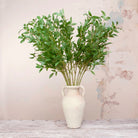 Tall Green Leaf Stem Peony