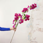 Fuchsia Bougainvillea Stem Peony