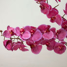 Real Touch Fuchsia Phalaenopsis Orchid Stem Peony