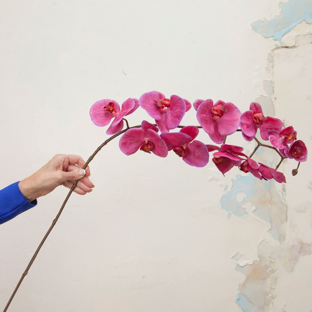 Real Touch Fuchsia Phalaenopsis Orchid Stem Peony