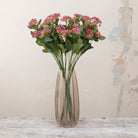 Tall Stems of Dark Pink Skimmia Berries  Peony