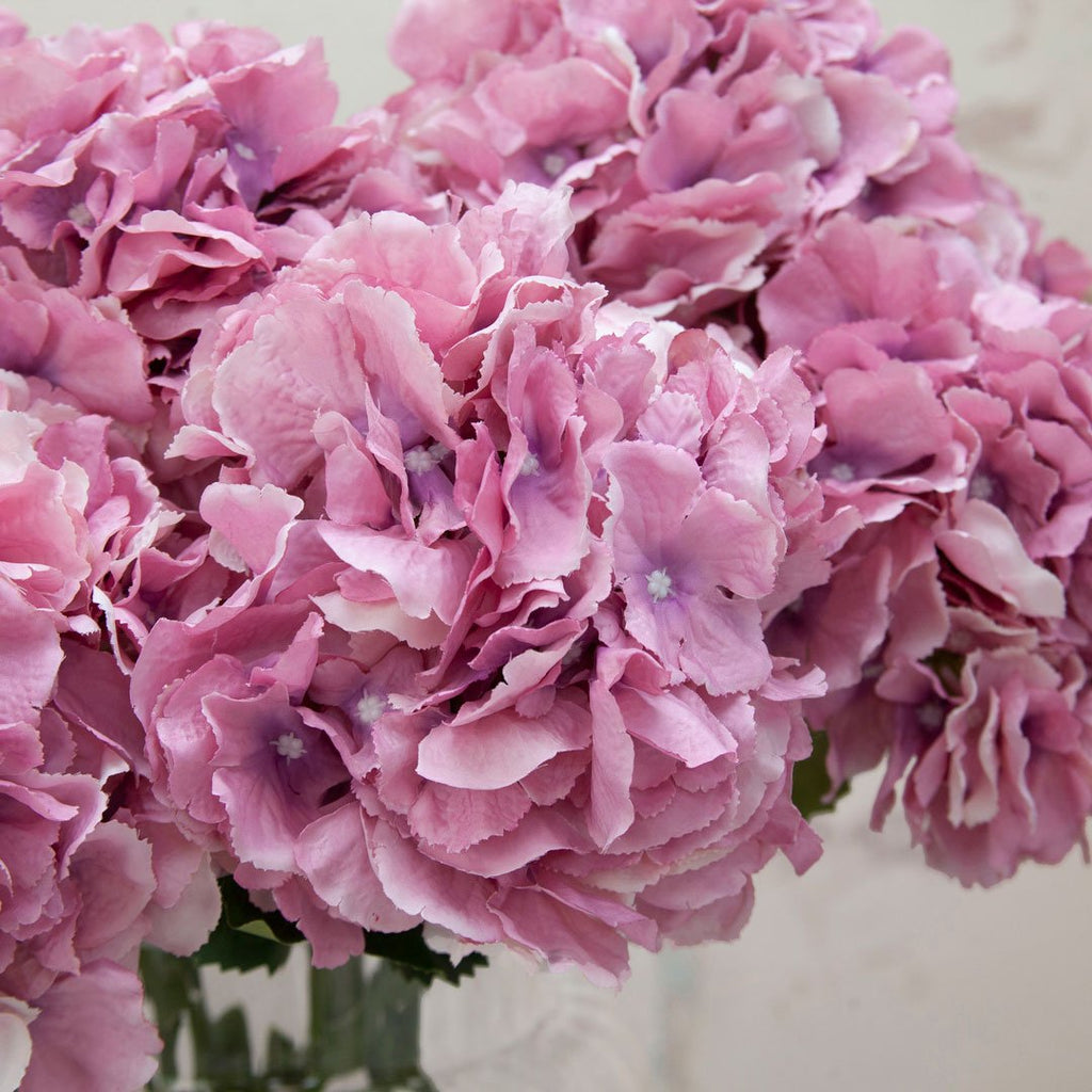 Large Pink Pom Pom Hydrangea Stem Peony