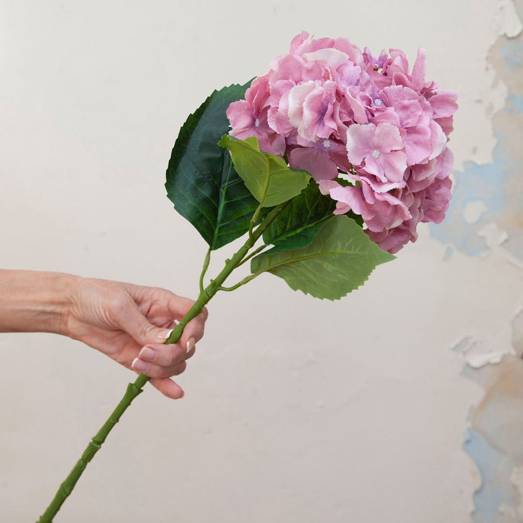 Large Pink Pom Pom Hydrangea Stem Peony