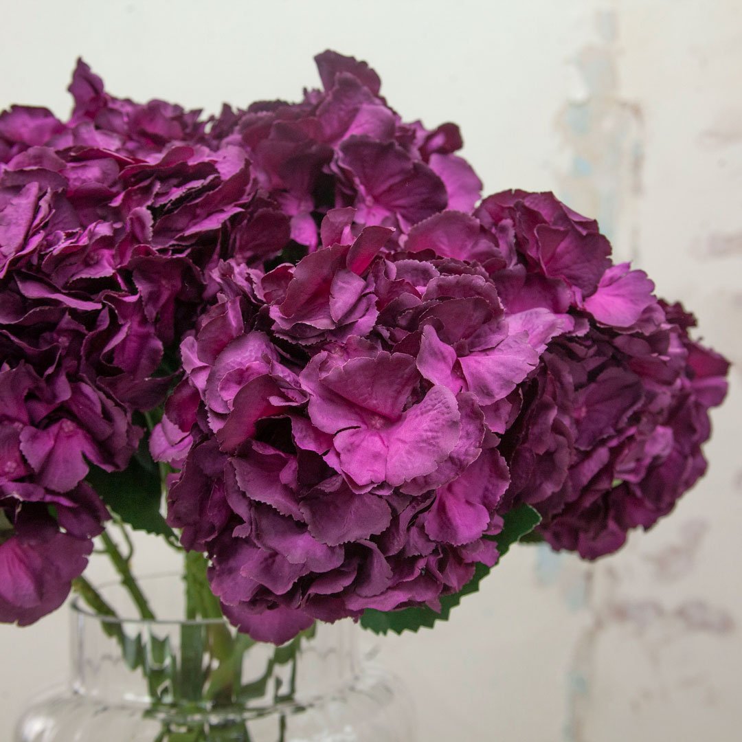 Large Dark Plum Pom Pom Hydrangea Stem  Peony