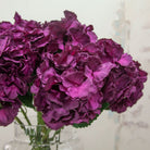 Large Dark Plum Pom Pom Hydrangea Stem  Peony