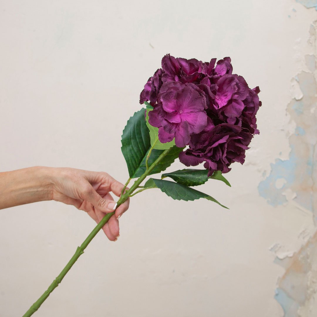 Large Dark Plum Pom Pom Hydrangea Stem  Peony