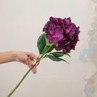 Large Dark Plum Pom Pom Hydrangea Stem  Peony