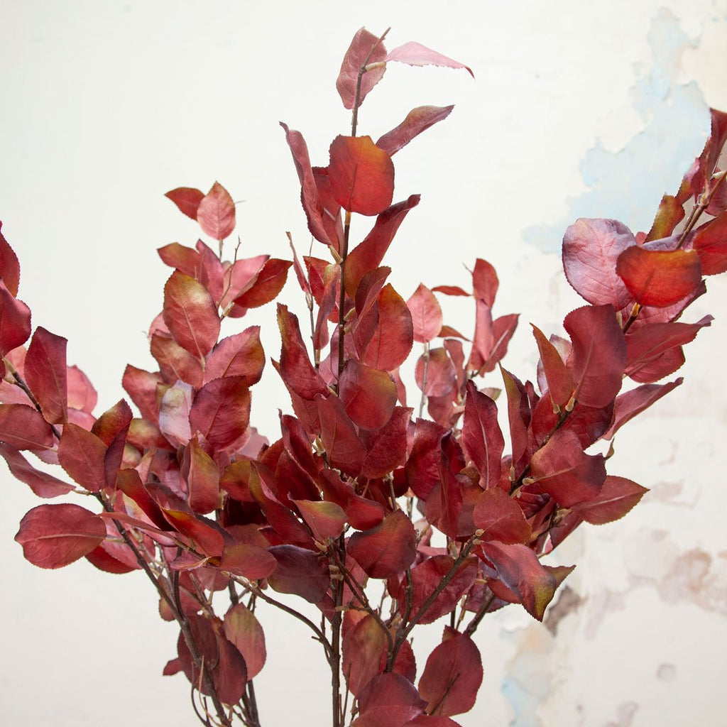 Autumnal Leaf Stem Peony