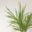 Button Fern on a Long Stem Peony