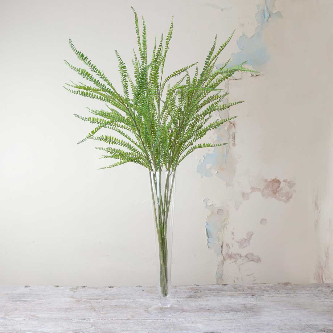 Button Fern on a Long Stem Peony