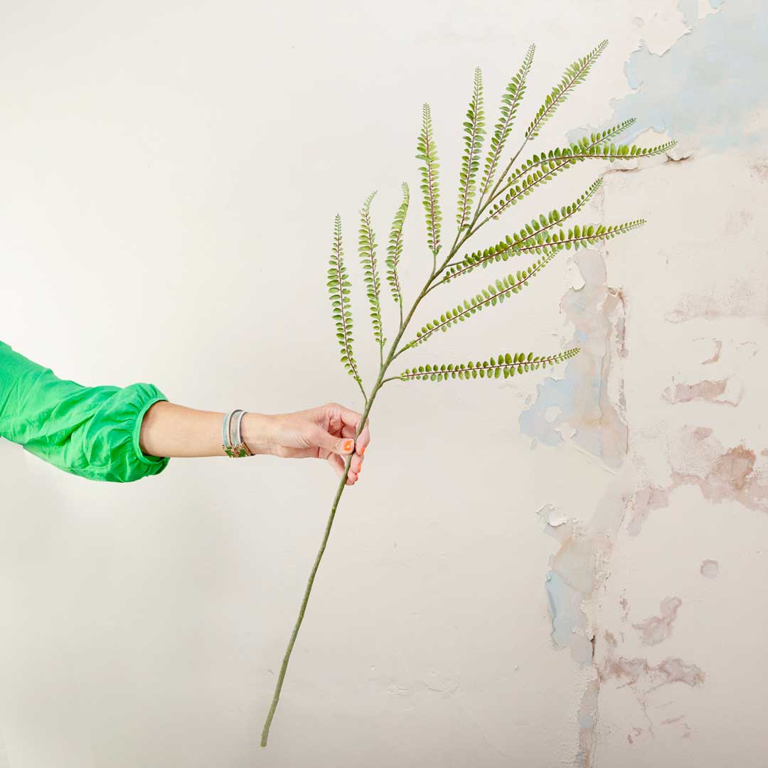 Button Fern on a Long Stem Peony