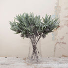 Pine Spray With Cones Stem Peony