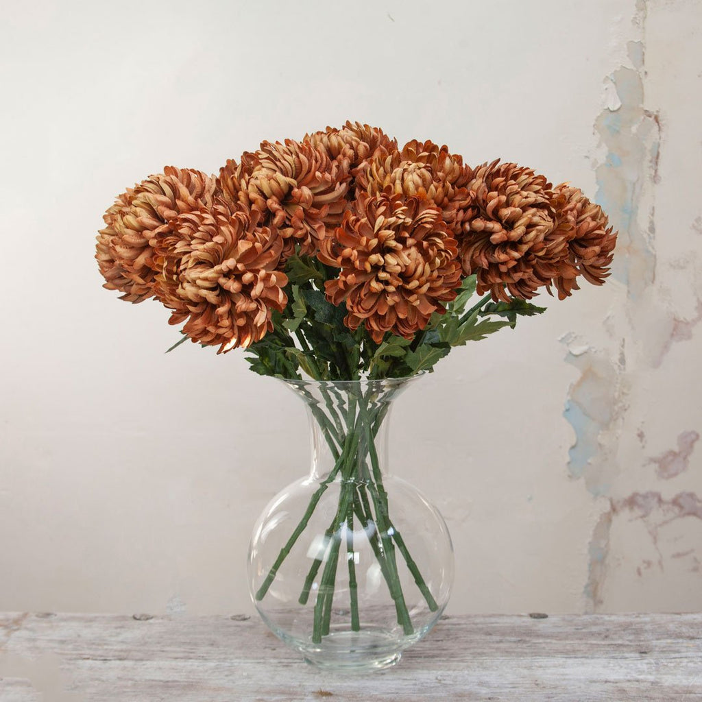 Chrysanthemum Stem Peony