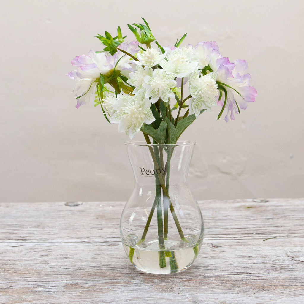 Scabiousa flowers & buds & Astrantia set with still water in a Pristina vase Peony