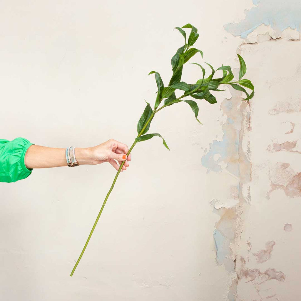 Lily Stem with Leaves Peony