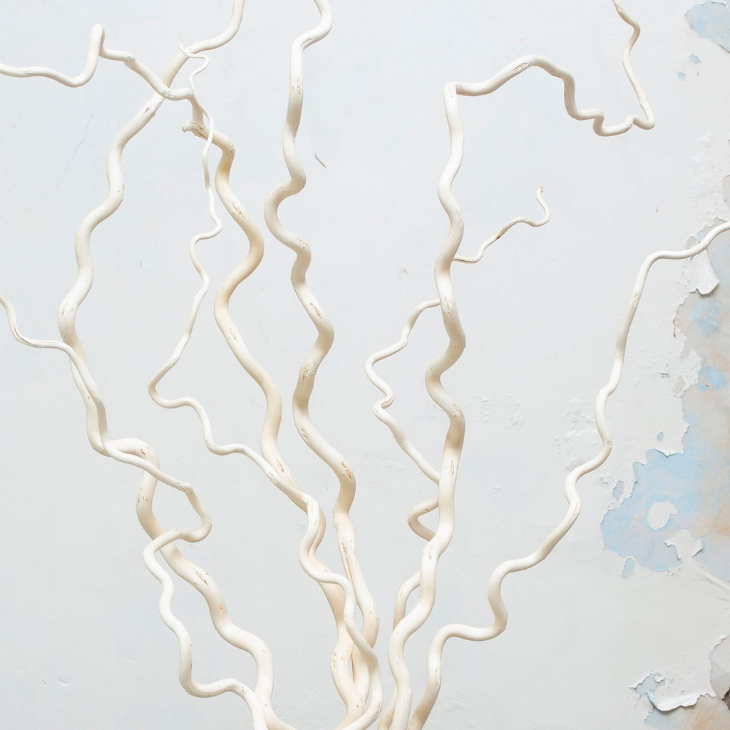 Pack of three bleached contorted hazlenut on an extra long stem. Peony