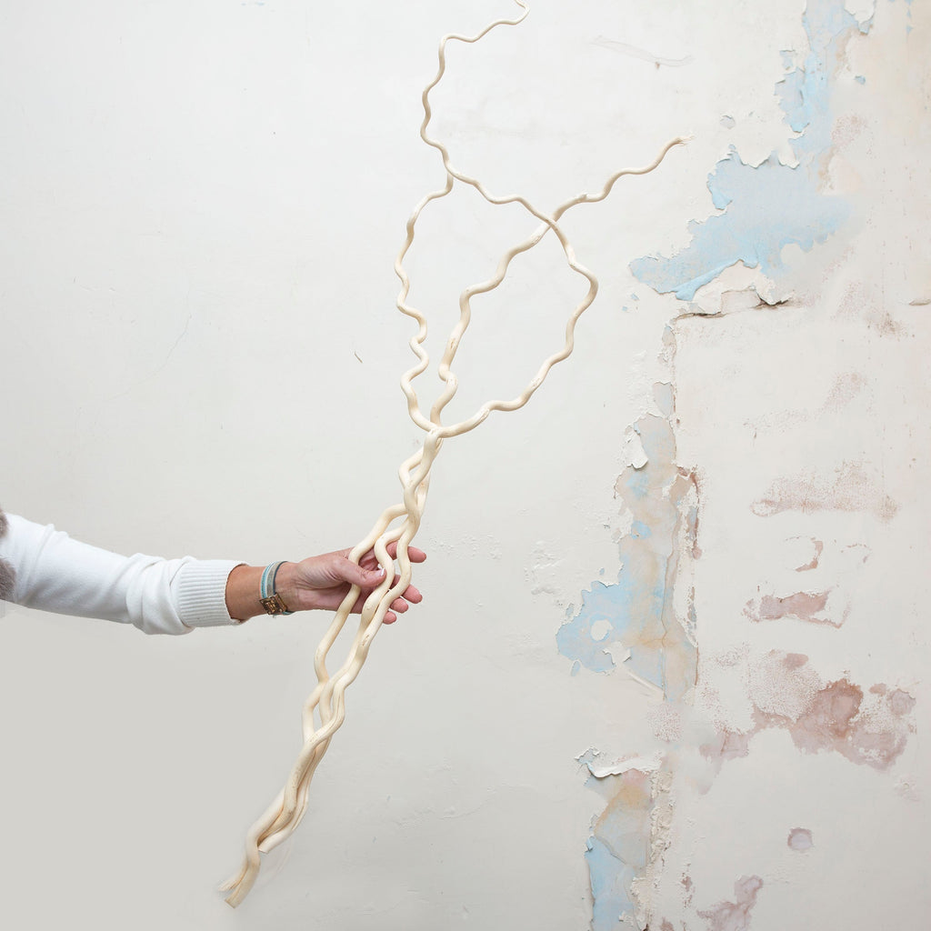 Pack of three bleached contorted hazlenut on an extra long stem. Peony