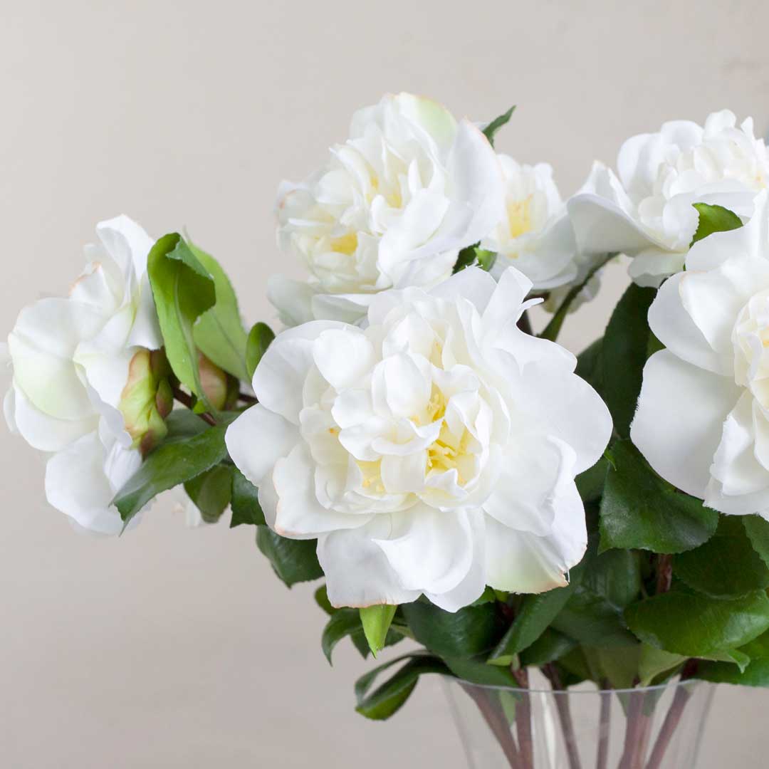 White Camellia Stem with Leaves Peony