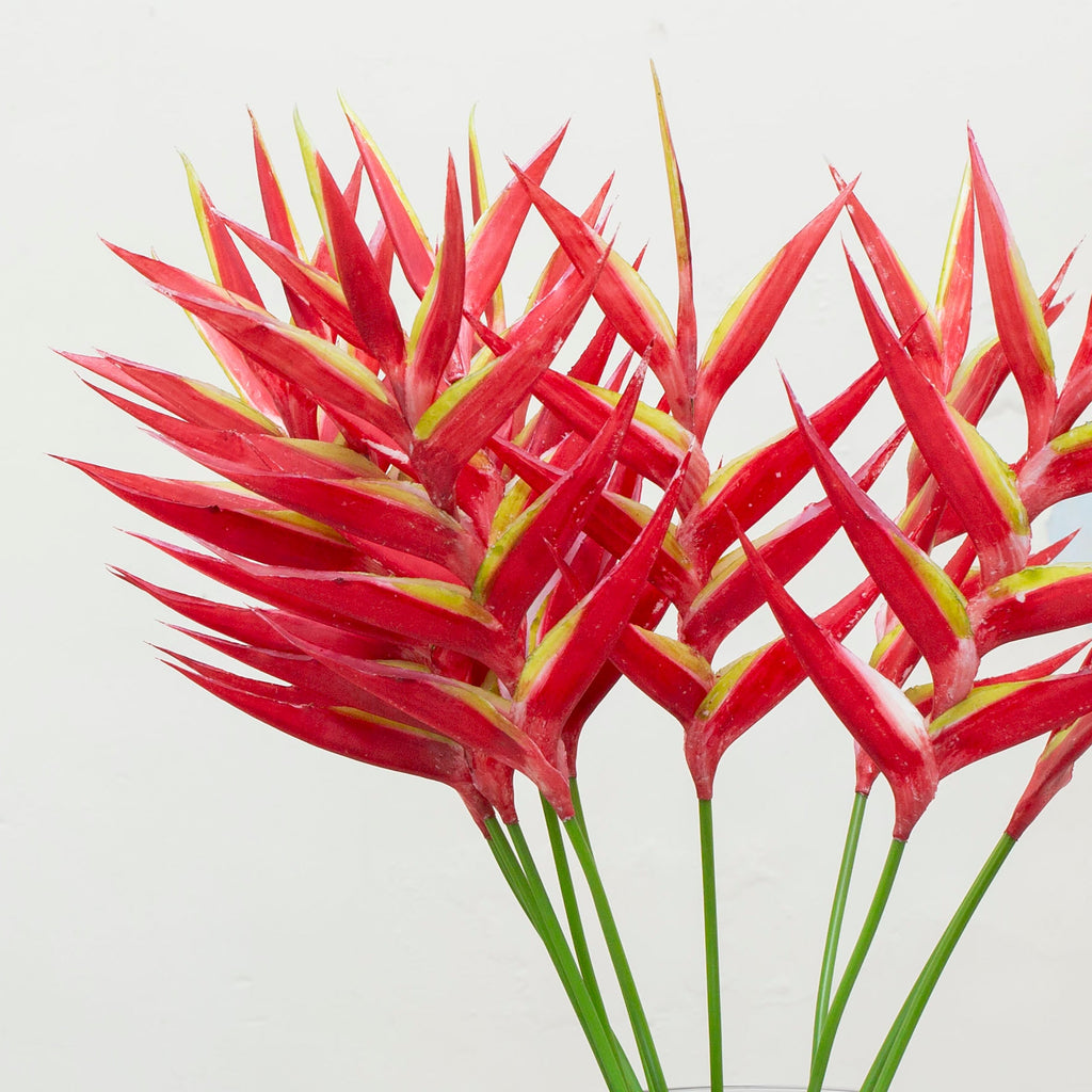 Vibrant red/orange heliconia stem. Peony