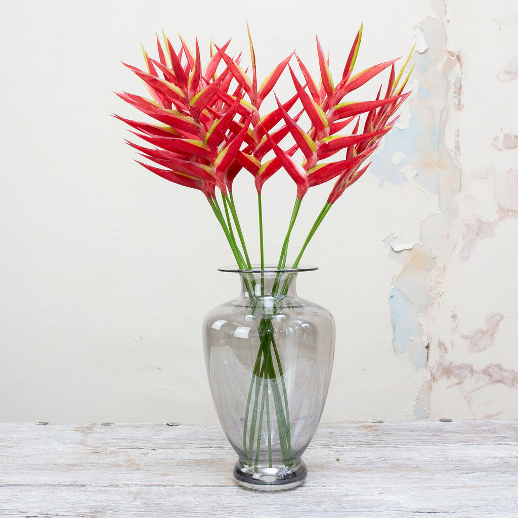 Vibrant red/orange heliconia stem. Peony