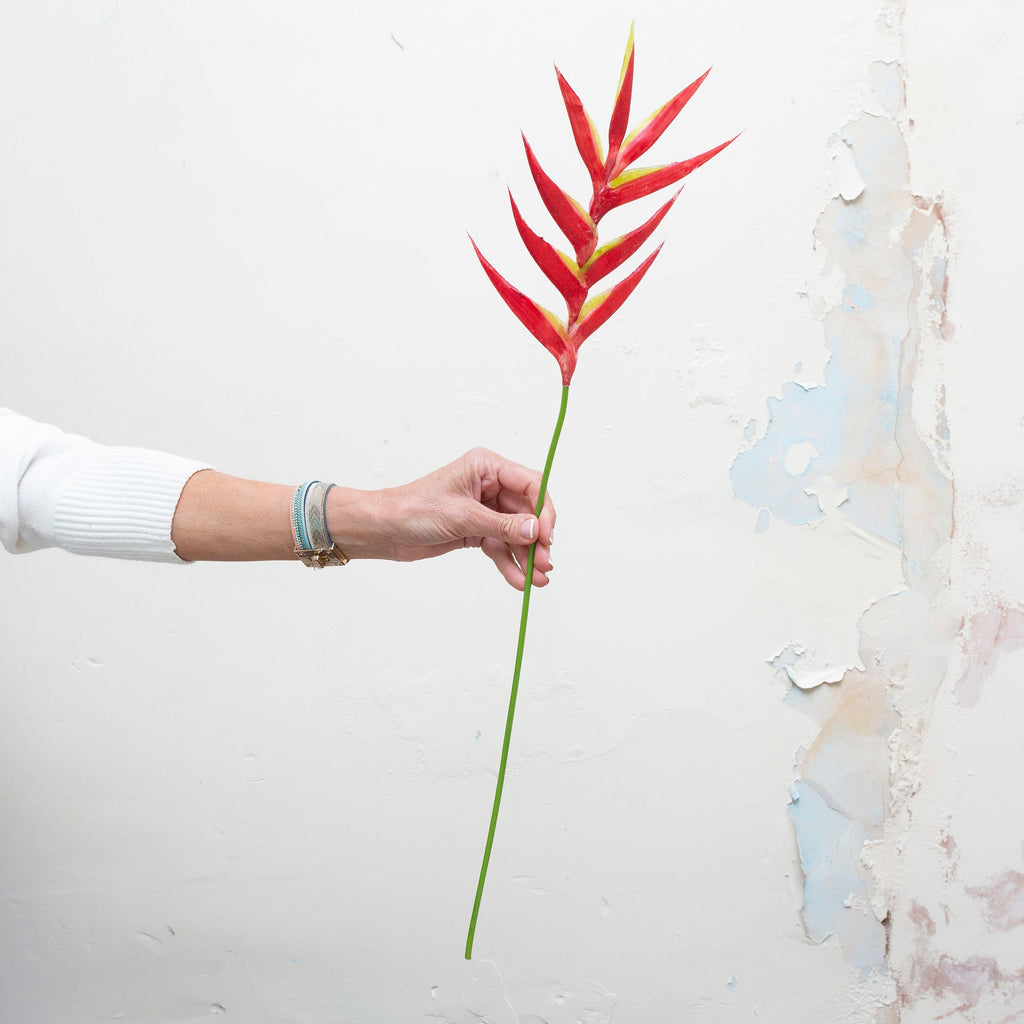 Vibrant red/orange heliconia stem. Peony