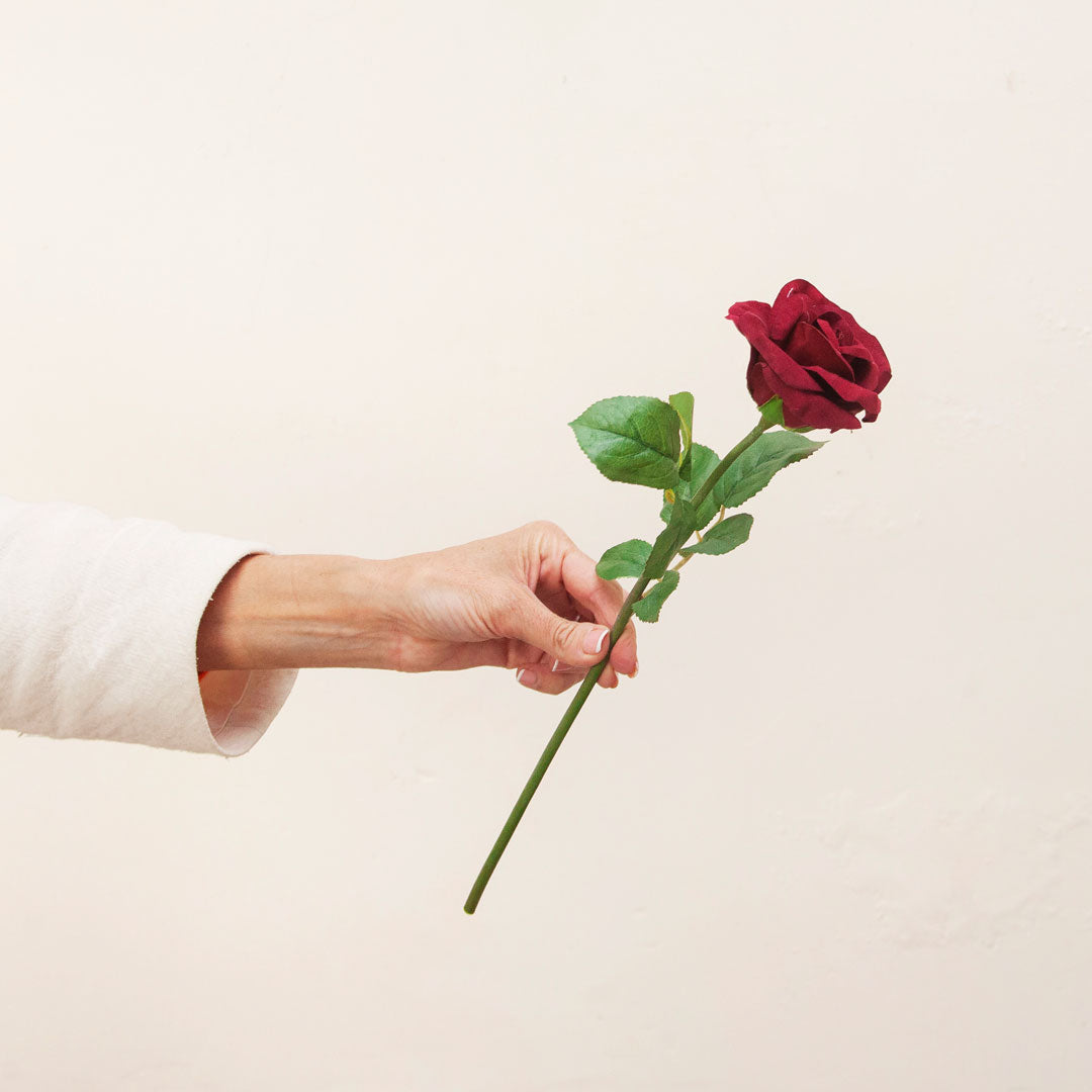 Hand holding artificial red velvet rose stem