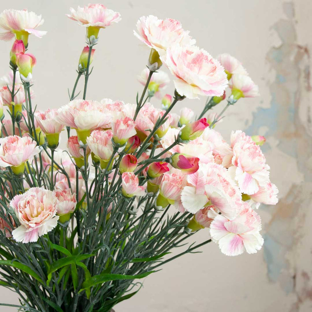 Pale Pink Carnations on a Long Stem Peony
