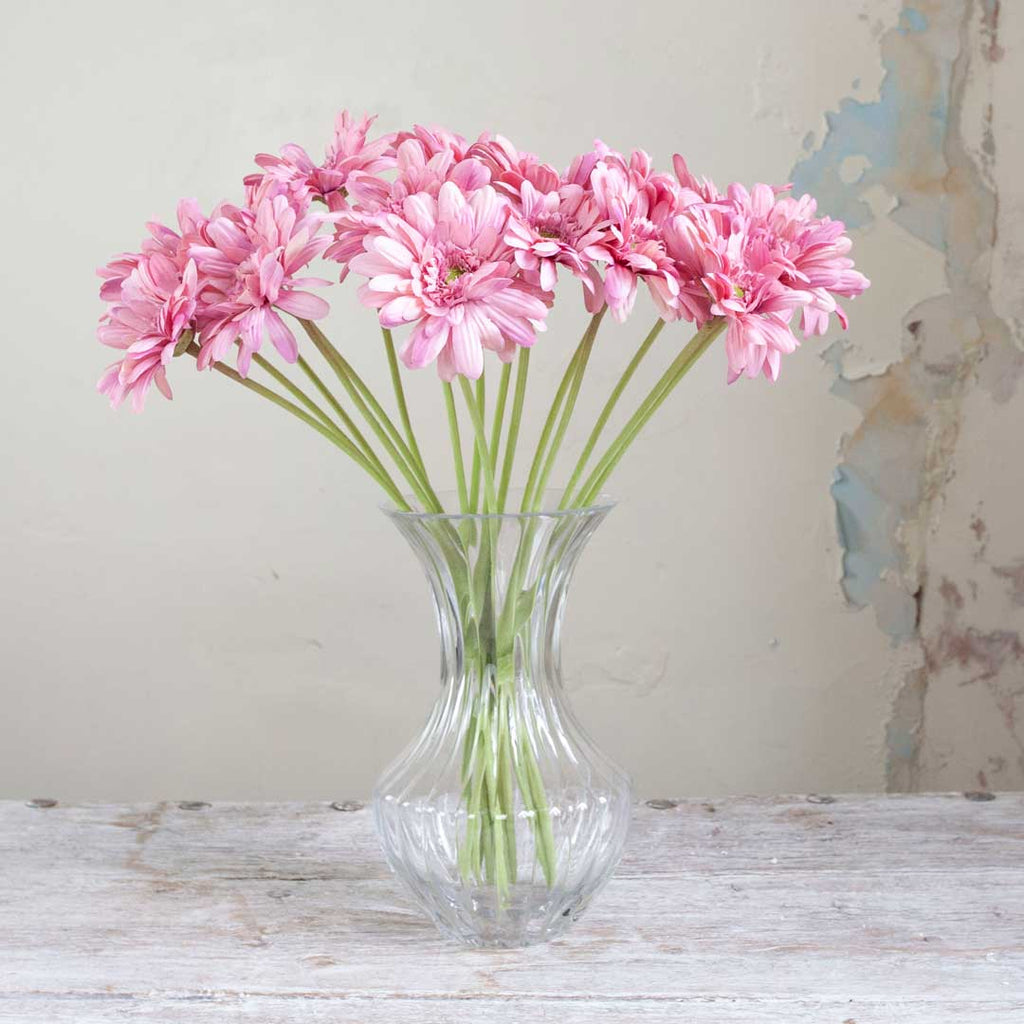 Mauve Gerbera on a Long Stem Peony