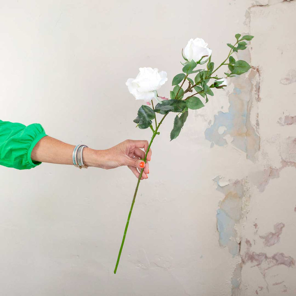 White Joyous Rose with Buds and Leaves on a Long Stem Peony