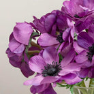 Purple Anemone Stem Peony