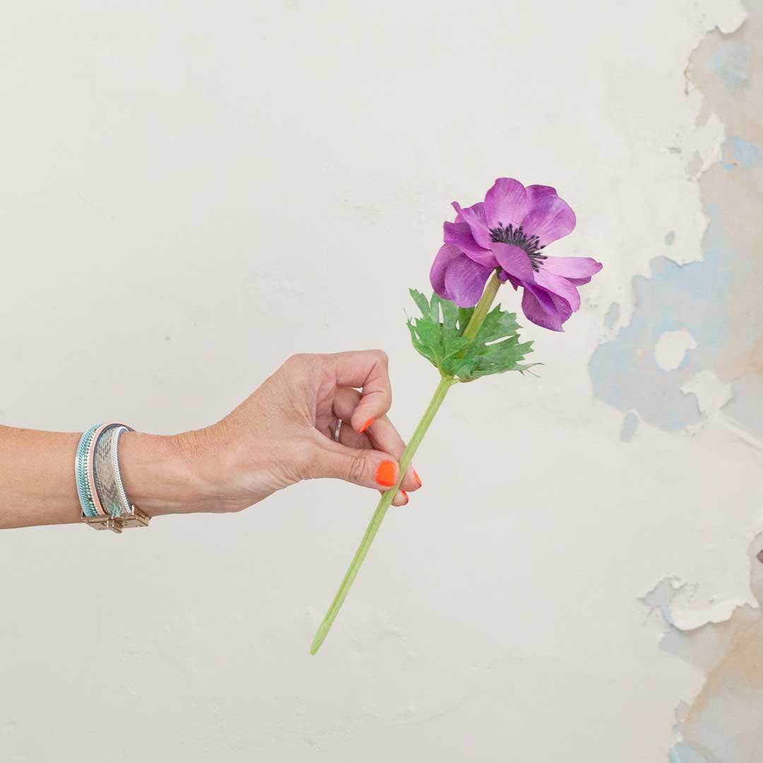 Purple Anemone Stem Peony