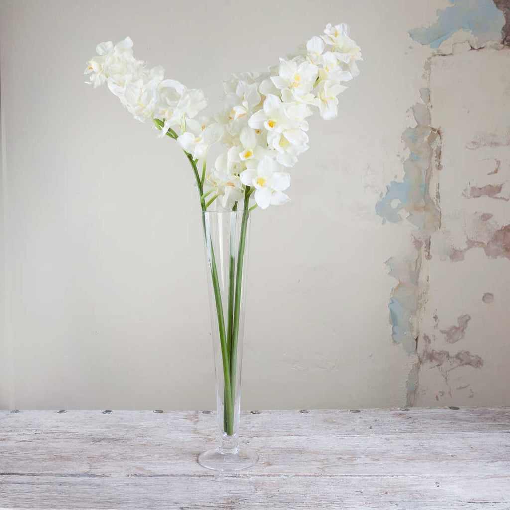 Cream Cymbidium Orchid on an Extra Long Stem Peony