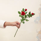Hand holding ingle artificial red rose stem with realistic layered petals and green foliage.