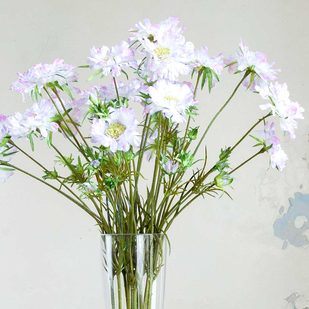 Lavender Scabiosa Stem with Buds and Leaves Peony