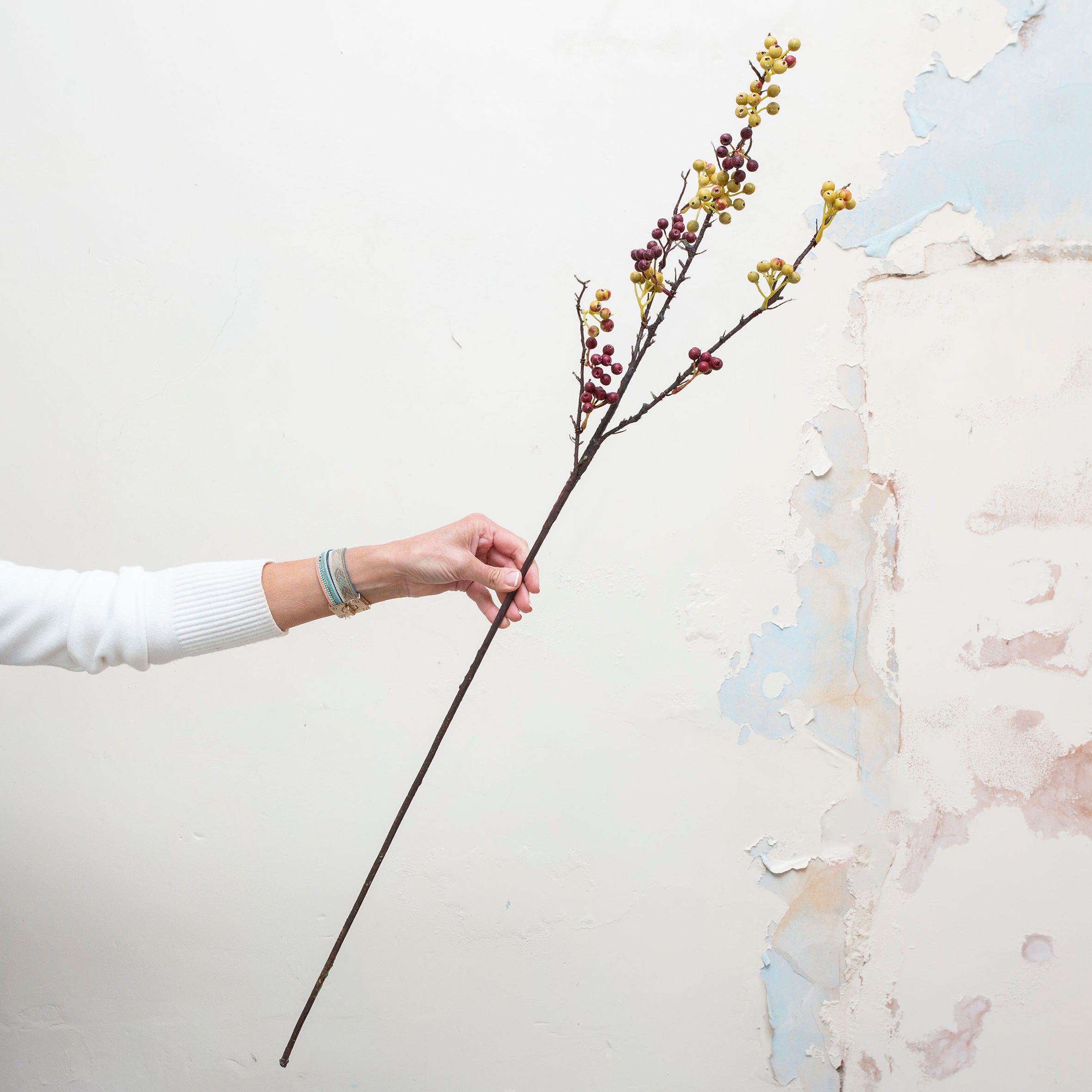 Woody branch of hand painted berries. Peony