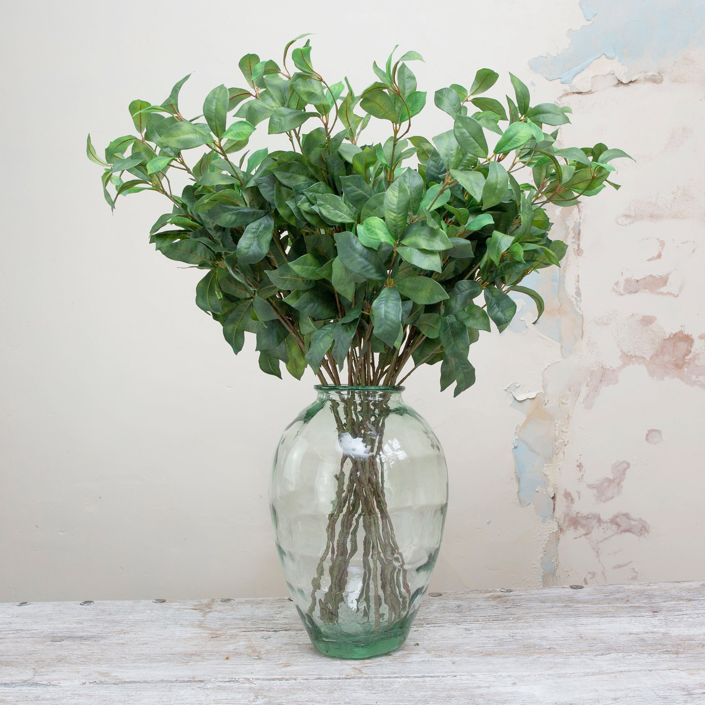 Green laurel leaves on a long stem. Peony