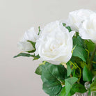 White Avalanche Rose Stem with Leaves Peony
