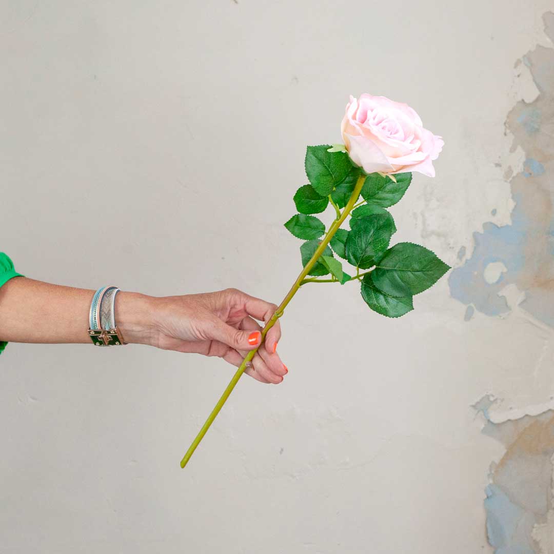 Pink Avalanche Rose with Leaves on a Long Stem Peony