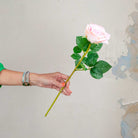 Pink Avalanche Rose with Leaves on a Long Stem Peony